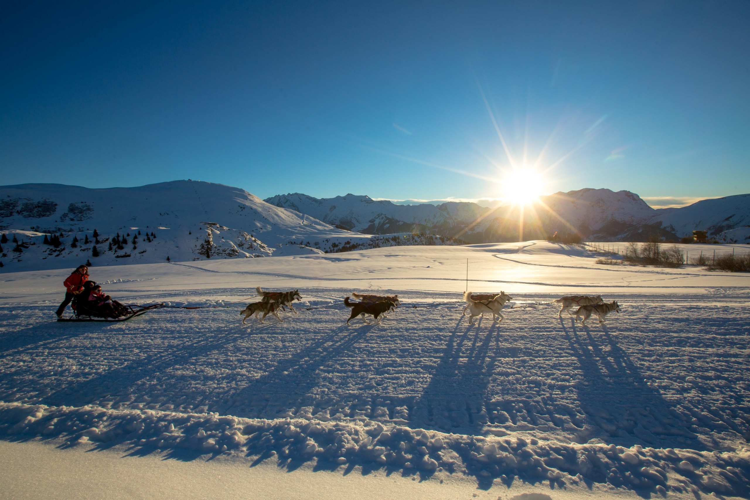 Balade en chiens de traîneau dans la neige, au soleil couchant